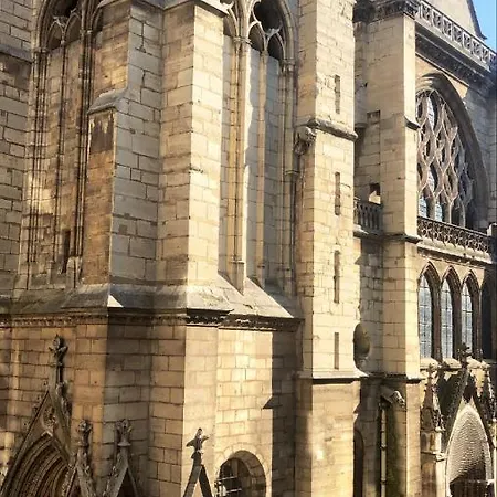 Cocoon Gallery Paris